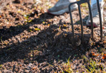 Agricultura ecológica vs regenerativa organic home Compost pile, organic thermophilic compost turning in Tasmania Australia