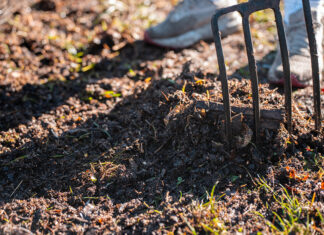 Agricultura ecológica vs regenerativa organic home Compost pile, organic thermophilic compost turning in Tasmania Australia