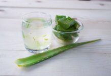 Aloe vera: propiedades, usos y calidad en cosmética y alimentación Zumo de aloe vera