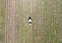 Francia: la paradoja de una producción en descenso frente a un consumo que se recupera productores