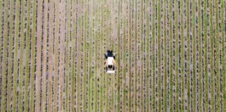 France: the paradox of falling production against a backdrop of recovering consumption productores
