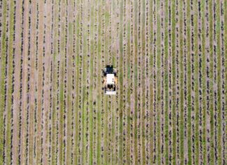 France: the paradox of falling production against a backdrop of recovering consumption productores