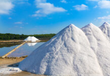 European institutional consensus protects organic sea salt sea-salt