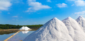 European institutional consensus protects organic sea salt sea-salt