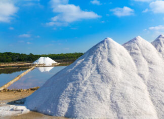 European institutional consensus protects organic sea salt sea-salt