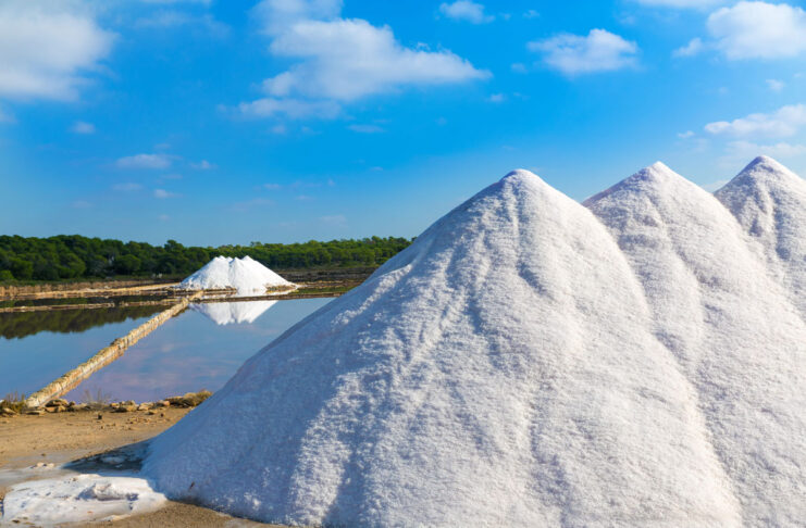 European institutional consensus protects organic sea salt sea-salt