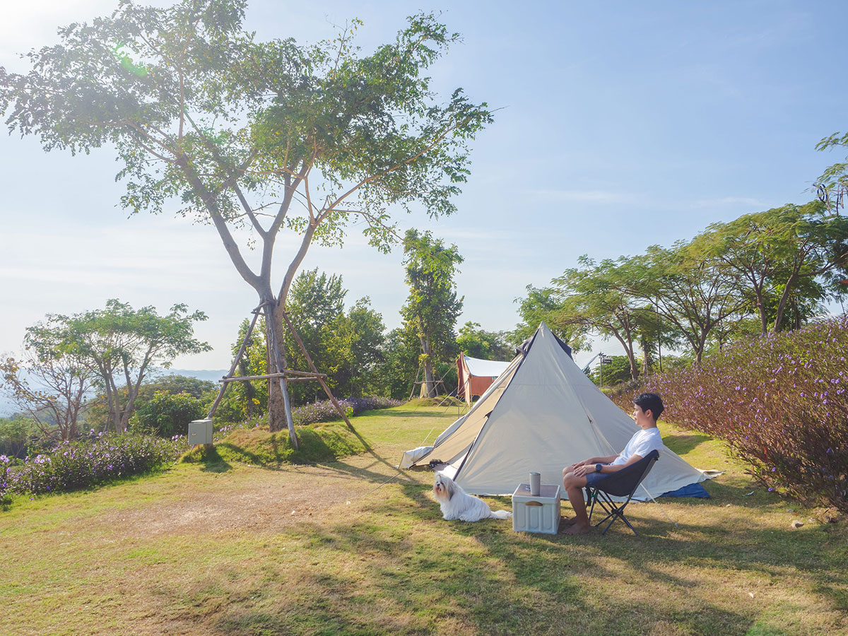 Acampada