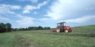 The future of the CAP: how to ensure strong support for organic CAP-IFOAM