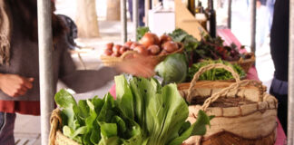 Álava se convertirá en la capital de la agroecología este septiembre Mercado-ecológico-Bionekaraba