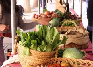 Álava se convertirá en la capital de la agroecología este septiembre Mercado-ecológico-Bionekaraba