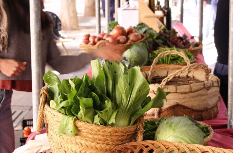 Álava se convertirá en la capital de la agroecología este septiembre Mercado-ecológico-Bionekaraba