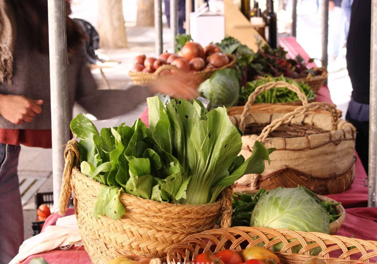 Mercado-ecológico-Bionekaraba