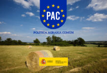 El futuro de la PAC: cómo garantizar un sólido apoyo a la agricultura ecológica PAC