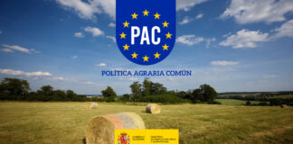 El futuro de la PAC: cómo garantizar un sólido apoyo a la agricultura ecológica PAC
