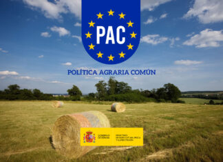 El futur de la PAC: com garantir un suport sòlid a l’agricultura ecològica PAC