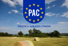 El futuro de la PAC: cómo garantizar un sólido apoyo a la agricultura ecológica PAC