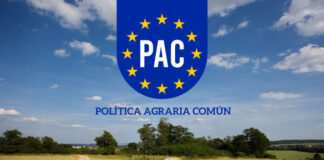 El futuro de la PAC: cómo garantizar un sólido apoyo a la agricultura ecológica PAC