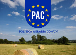 El futuro de la PAC: cómo garantizar un sólido apoyo a la agricultura ecológica PAC