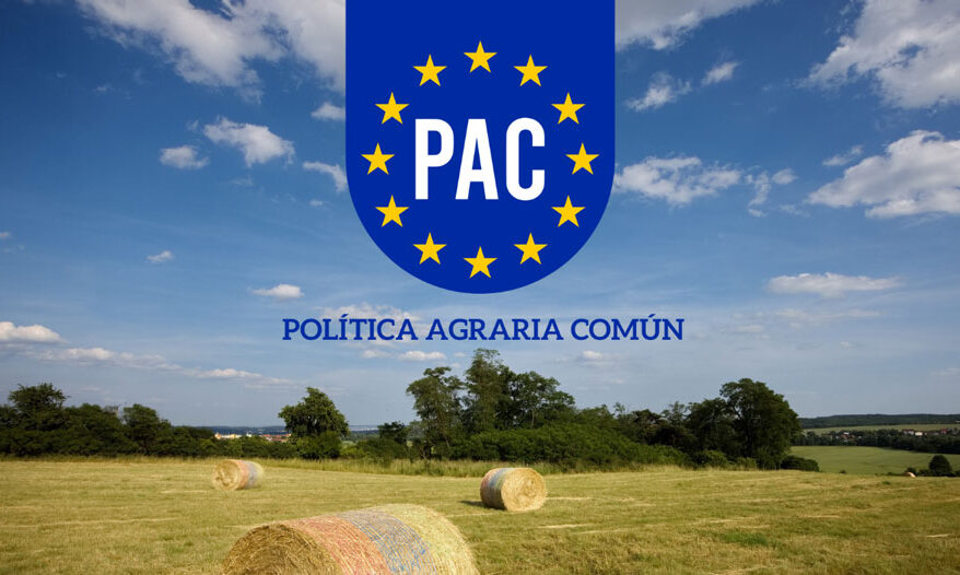 PAC