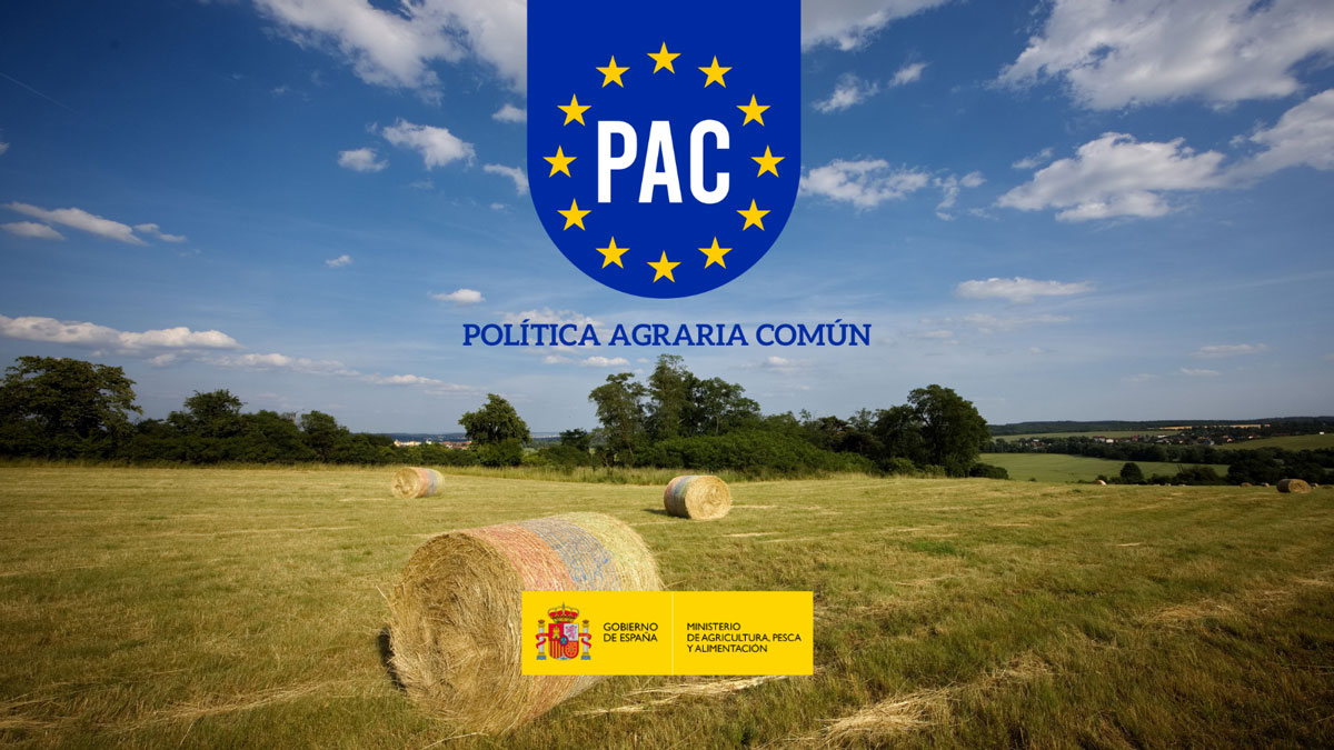 PAC