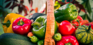 Agosto en el campo: el mes de la abundancia y la preparación para la nueva campaña Colorful vegetables