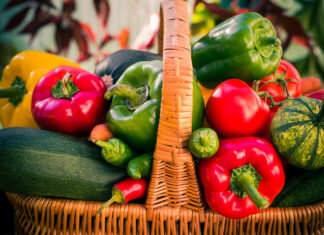 Agost al camp: el mes de l’abundància i la preparació per a la nova campanya Colorful vegetables