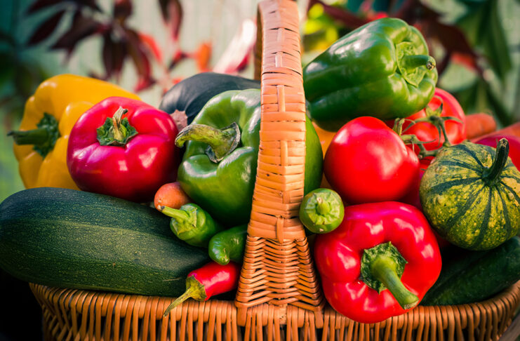 Agosto en el campo: el mes de la abundancia y la preparación para la nueva campaña Colorful vegetables
