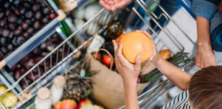 Francia: los productos ultrafrescos como motor de crecimiento en las tiendas ecológicas productos-frescos