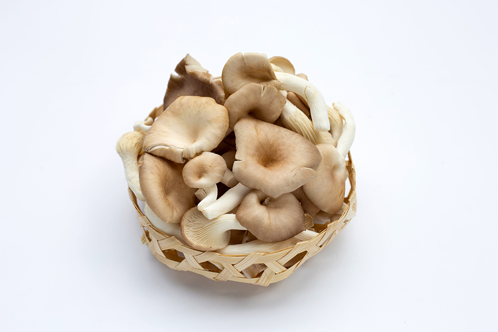 Fresh oyster