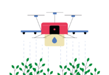 La trampa de la innovación en el campo Innovación
