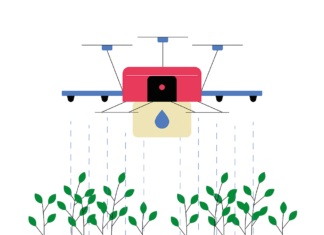 La trampa de la innovación en el campo Innovación