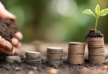 El coste de ser ecológico hands with coins and young plant