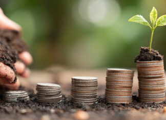 El coste de ser ecológico hands with coins and young plant