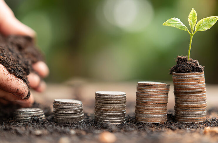 El coste de ser ecológico hands with coins and young plant