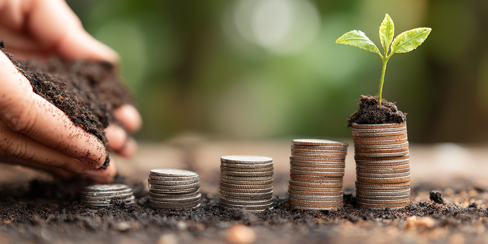 hands with coins and young plant