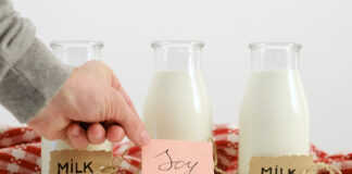 La soja ecológica y sus beneficios MILK TYPES