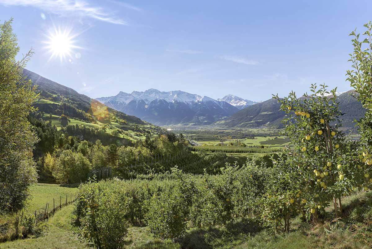 Paesaggio-autunnale-dei-meleti