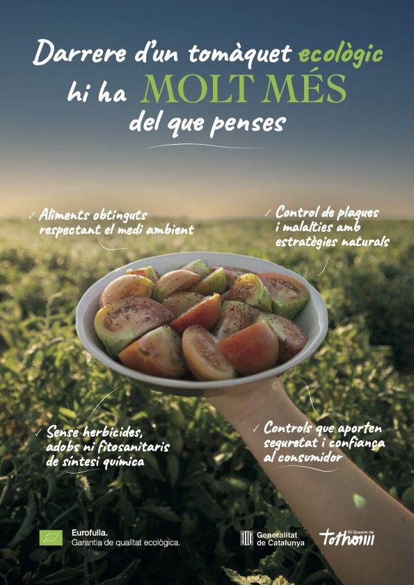 Tomate