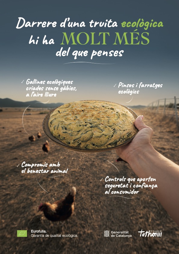 Tortilla de patatas