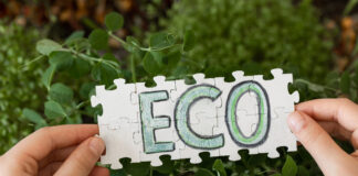 El greenwashing deja de salir gratis ecológico