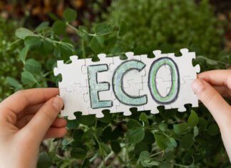 El greenwashing deja de salir gratis ecológico