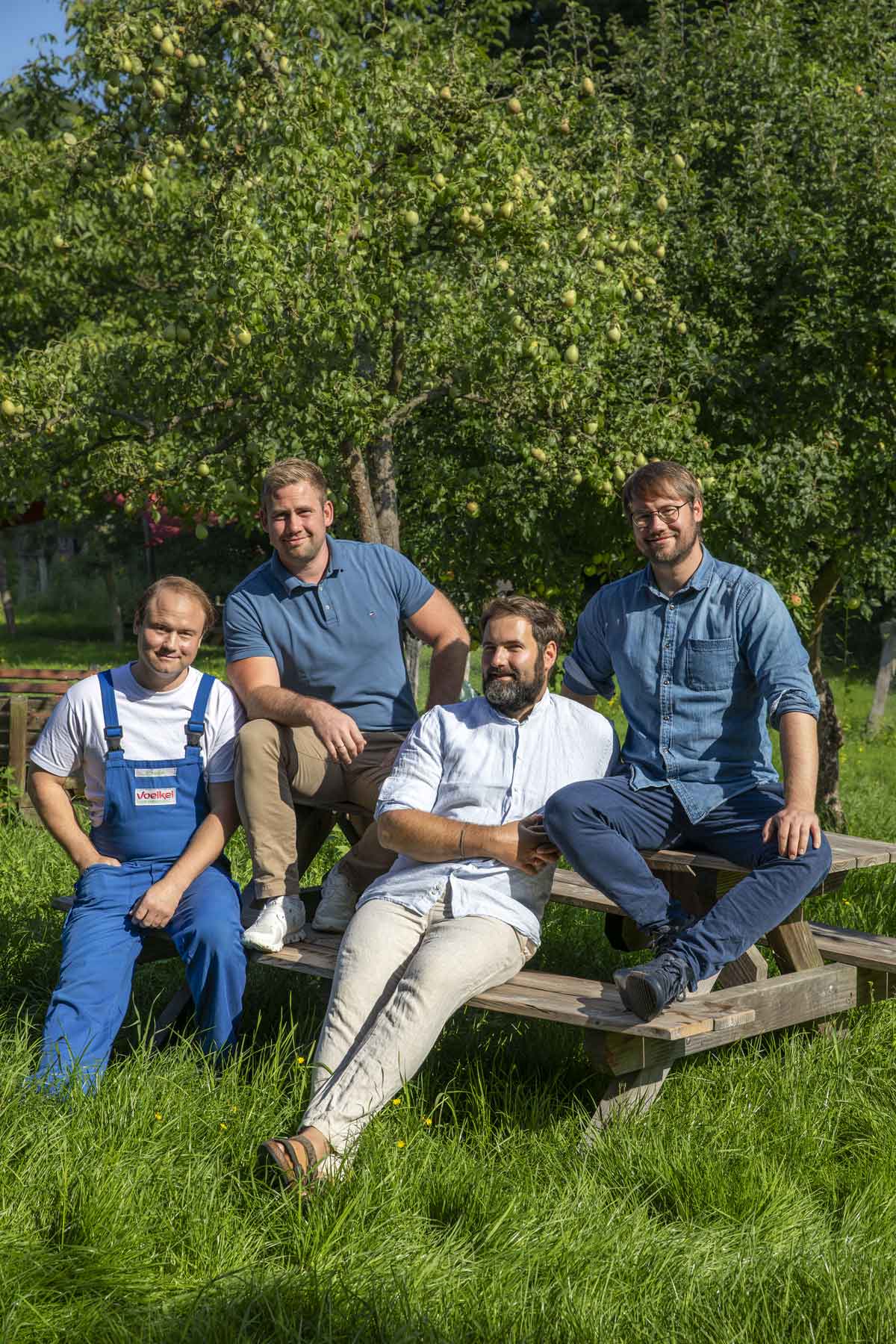 plantilla-voelkel