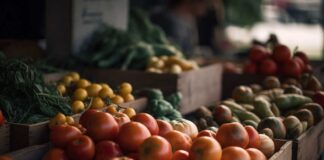 EU Public Procurement Act recognises the role of organic food tomàquets