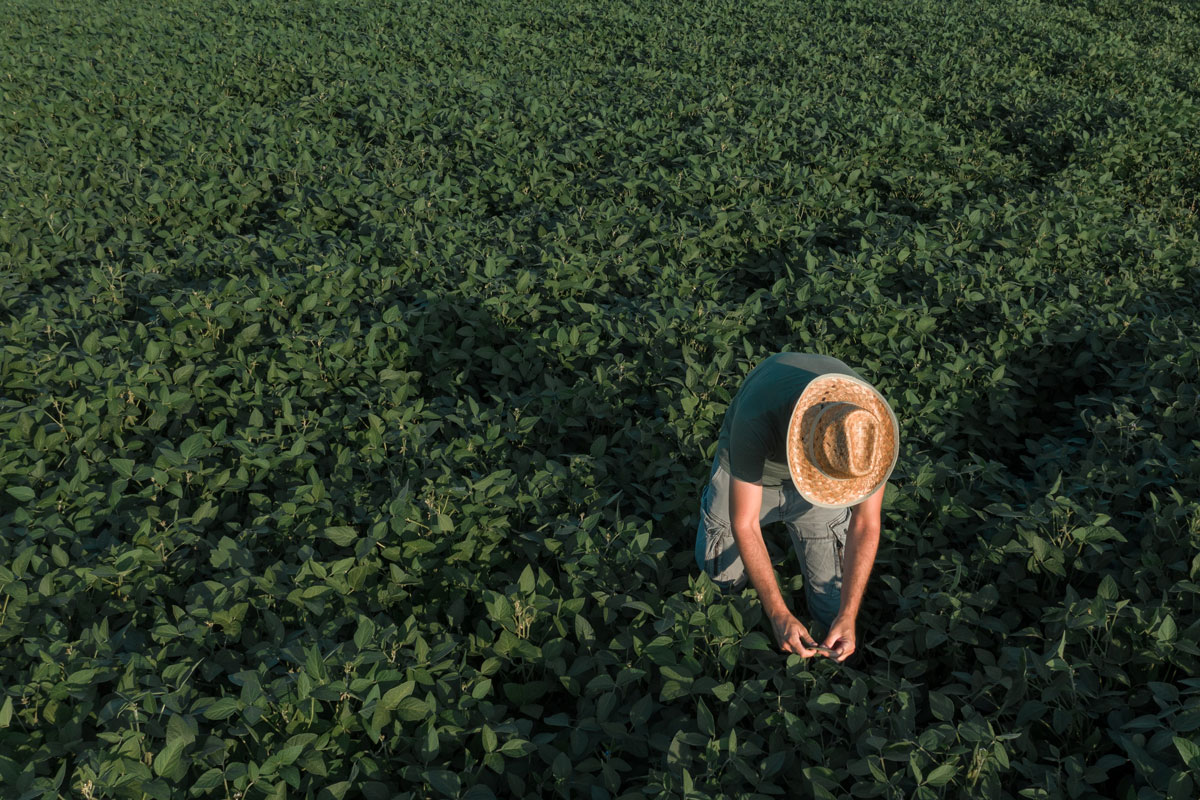 agricultor