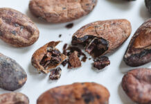 El cacao que no llega al chocolate: nuevas vidas para la cascarilla