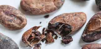El cacao que no llega al chocolate: nuevas vidas para la cascarilla