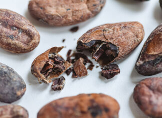 El cacao que no llega al chocolate: nuevas vidas para la cascarilla